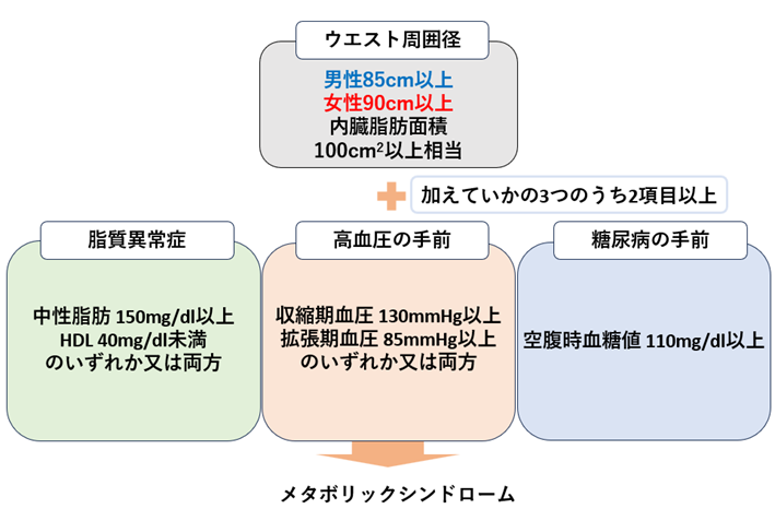 ●画像（メタボ_診断基準）