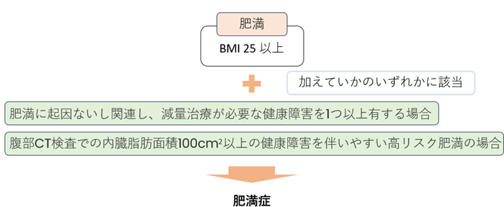 画像（肥満症_診断基準）