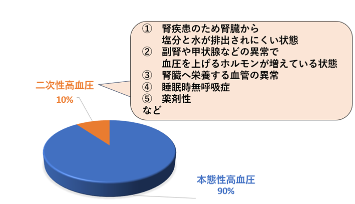 ●画像（高血圧_原因）