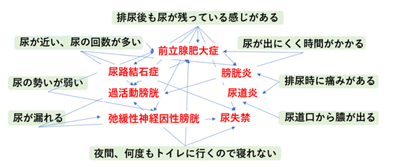 泌尿器科_症状と疾患