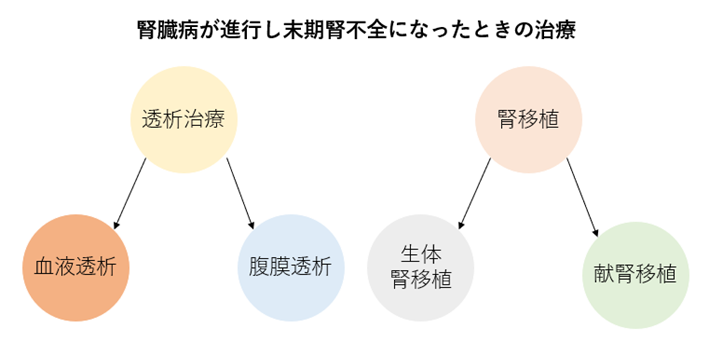 ●画像（CKD_透析）