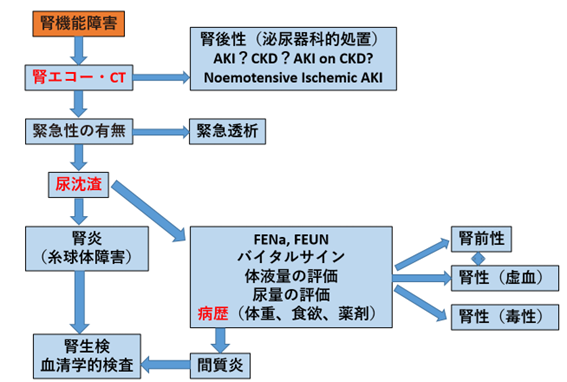 ●画像（AKI_診療アルゴリズム）