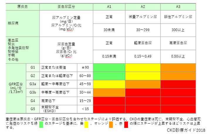 ●画像（CKD_診断基準）