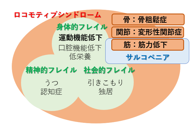 メディカルチェック_ロコモ図